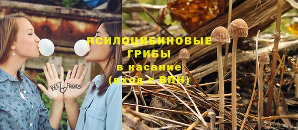 дмт Алзамай
