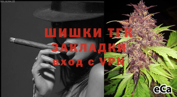 дмт Алзамай