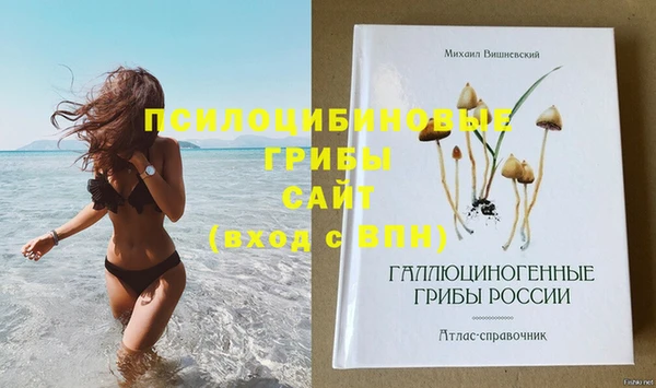 дмт Алзамай