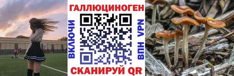 Галлюциногенные грибы ЛСД мориарти официальный сайт Тулун